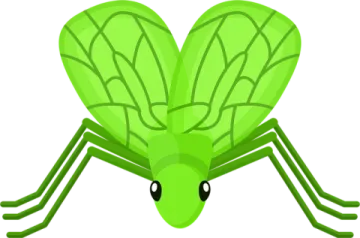 a green fly insect on a white background