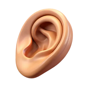 an ear is shown in this image