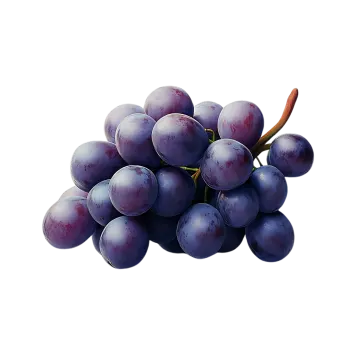 a bunch of grapes