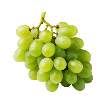 a bunch of green grapes on a white background