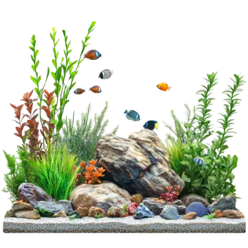 a fish tank filled with plants and rocks