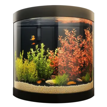 a fish tank filled with plants and rocks