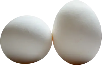 two white eggs on a white background