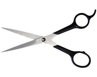a pair of scissors on a white background