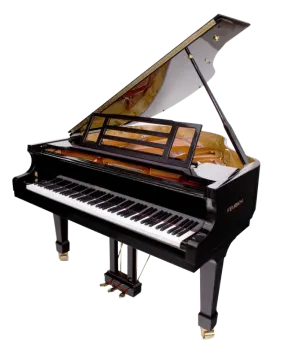 a grand piano with a black case