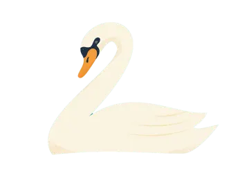 a white swan with an orange beak