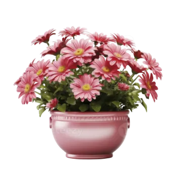 a pink flower pot with pink flowers in it