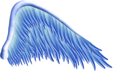 an image of a blue angel wing