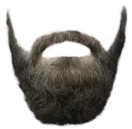 a close up of a beard on a white background
