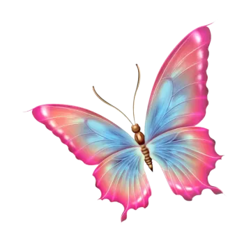 a colorful butterfly on a white background