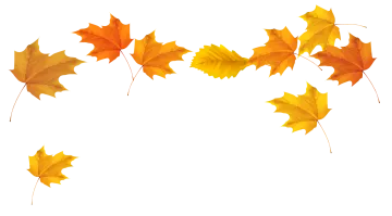 a bunch of yellow and orange leaves