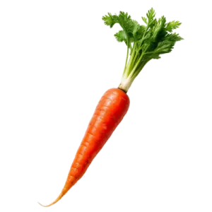 a carrot on a white background