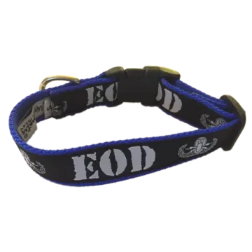 a black and blue dog collar with skulls on it