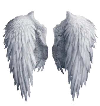 a pair of white wings on a white background