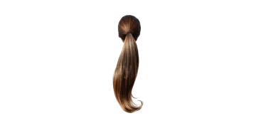 a ponytail with long hair on a white background