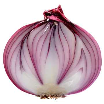 a close up of an onion on a white background