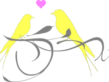 a couple of birds sitting on top of a tree
