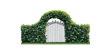 an iron gate with green ivys on it