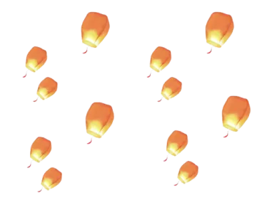 a bunch of orange flowers on a white background