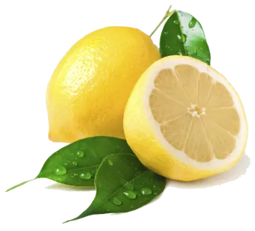 two lemons with leaves and water droplets