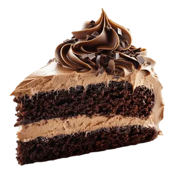 a piece of chocolate cake