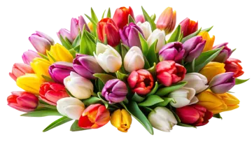 a bouquet of colorful tulips