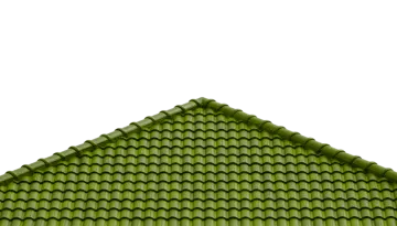 a green roof on a white background