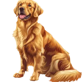 a dog sitting down with its tongue out