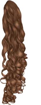 a drawing of a woman's hair