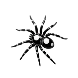 a black and white spider on a white background