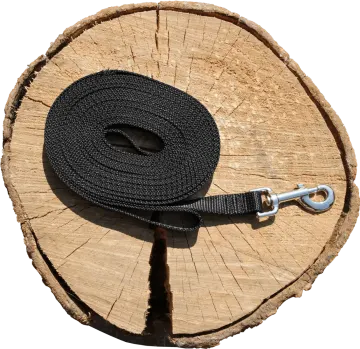 a black leash on a tree stump
