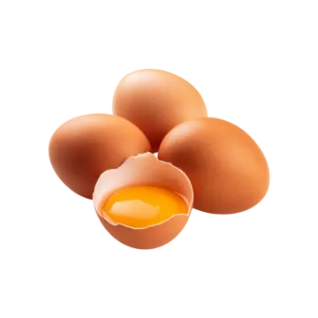 a group of eggs on a white background