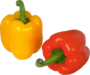 a yellow pepper and a red pepper