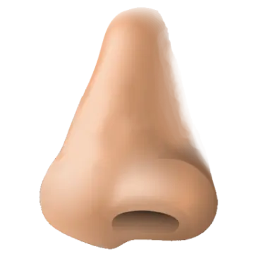a close up view of a female's butt