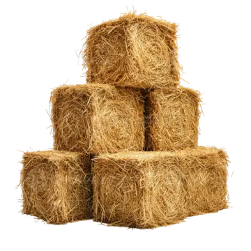 a pile of straw bales on a white background