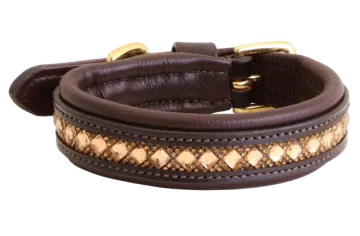 a brown leather dog collar with gold hardware