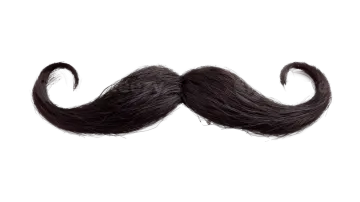 a black mustache on a white background