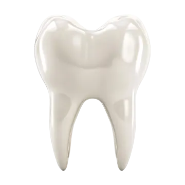 a tooth on a white background