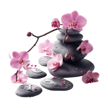 a pile of rocks with pink orchids on top