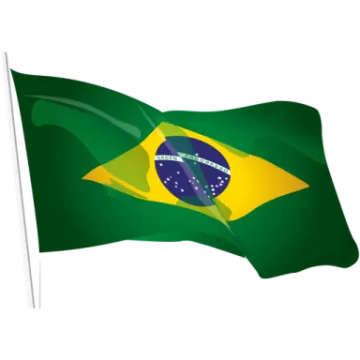 a brazil flag waving in the wind