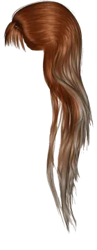a drawing of a woman's hair