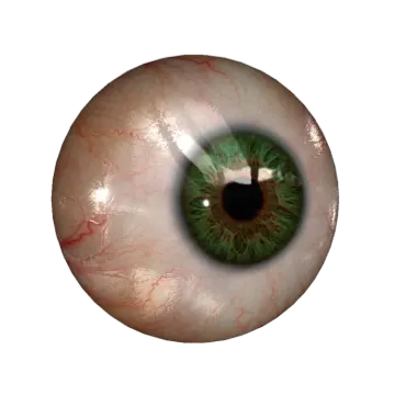 a close up view of an eye
