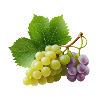 a bunch of grapes with green leaves