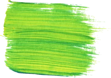 a green brush stroke on a white background