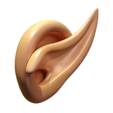 a close up of the ear