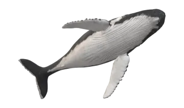 a 3d rendering of a whale