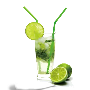 a glass filled with ice and lime slices