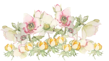 a watercolor painting of pink and yellow flowers