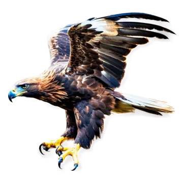 an eagle flying with a fish in its talon