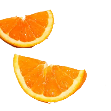 two slices of orange on a white background